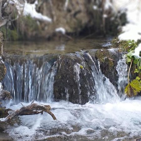 Plitvička JezeraSweet Dreamsアパートメント 部屋 写真